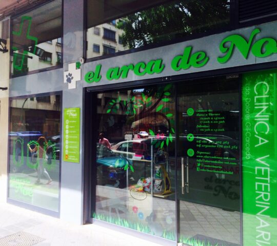 Veterinary Clinic Noah’s Ark