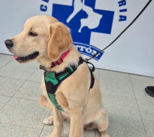 Veterinary Clinic Ponton