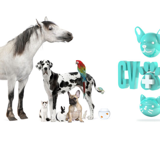 Veterinary Clinic Puerto Venecia (CVPV)