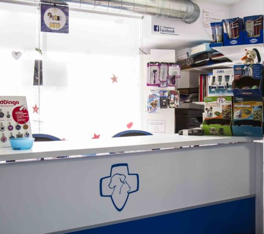 Veterinary Clinic Puertochico