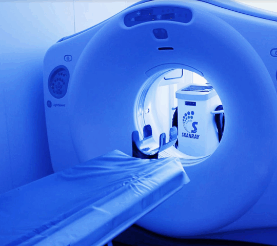 Veterinary Clinic San Fermin