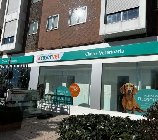 Veterinary Clinic Sanchinarro