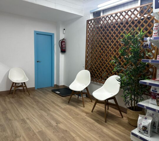 Veterinary Clinic The Park Ventilla