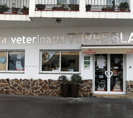 Veterinary Clinic Torreblanca Veterinary Clinic Torreblanca