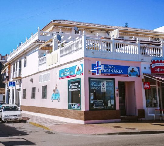 Veterinary Clinic VetMálaga