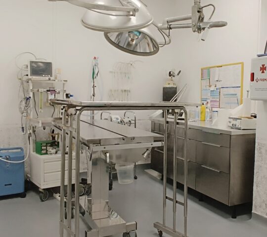 Veterinary Clinic and Reproductive Center Arena CLONE