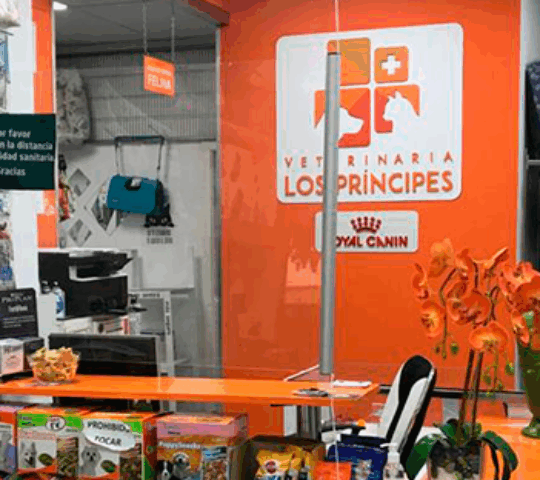 Veterinary Clinic vet Princes in Seville