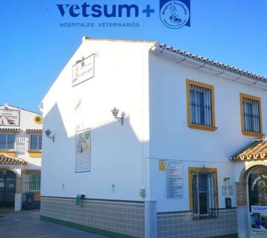 Veterinary Hospital Alhaurín El Grande