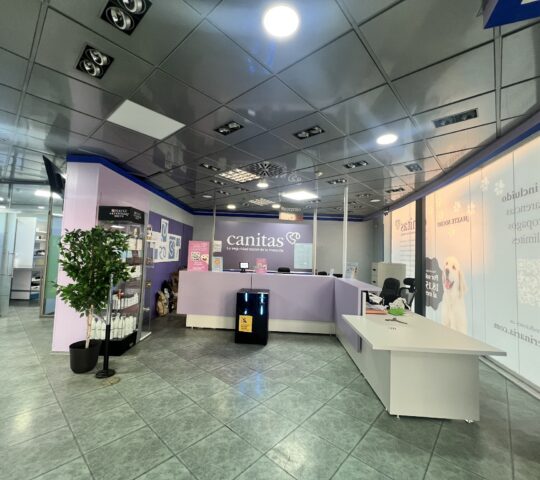 Veterinary canitas Vega Del Rey