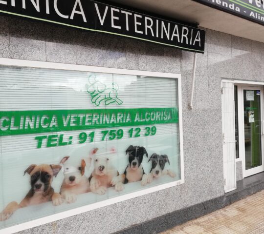 Veterinary clinic alcorisa Veterinary clinic alcorisa