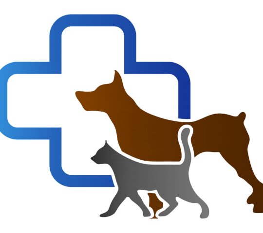 Veterinaryonline
