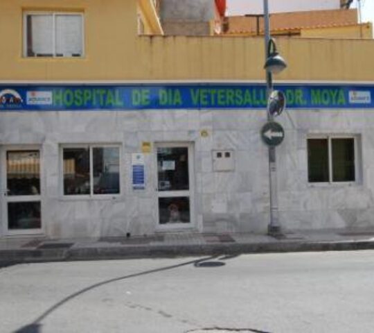 Vetersalud Veterinary Hospital Dr. Moya