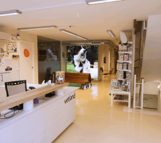 Vetland – Especialitats Veterinàries