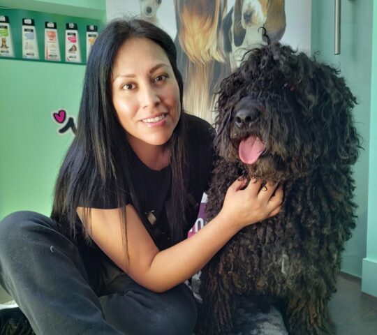 Wendy Peluquería Canina Buztintxuri. Wendy Peluquería Canina Buztintxuri.