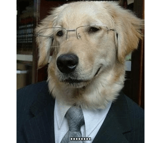 Zococan,Clínica Veterinaria en Murcia.Ronda Sur. Zococan,Clínica Veterinaria en Murcia.Ronda Sur.