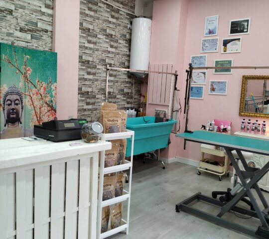 aBañar!! Zen Dog Peluquería Canina en Zaragoza