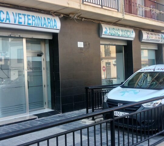 clínica Veterinario Ausias March clínica Veterinario Ausias March