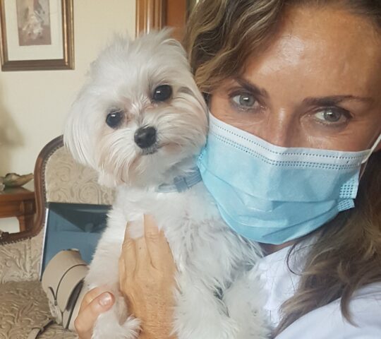 el veterinario en casa.domicilios bola de oro